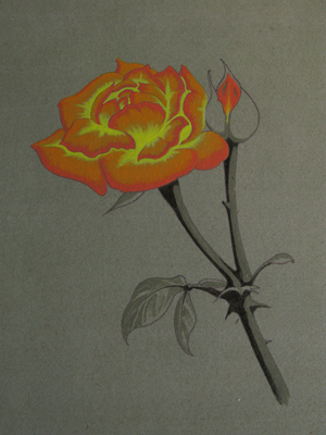 rose fire